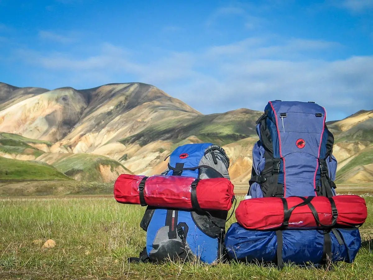 Confronto Tra Tote Bags e Backpacks: Qual è La Scelta Ideale? - Stile Donna Bags