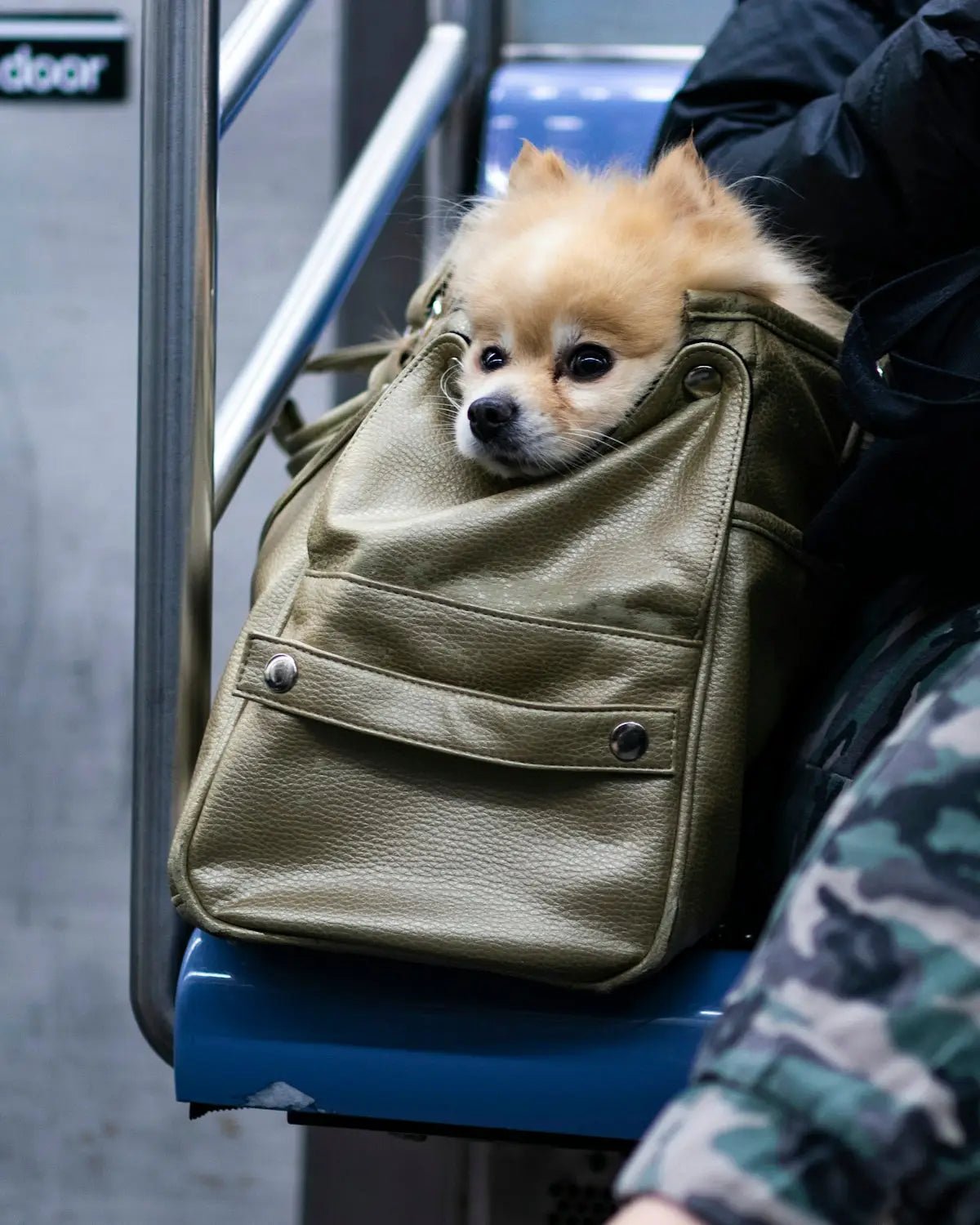 Dove Posso Comprare Una Buona Borsa? Guida alla Scelta delle Migliori Borse da Donna - Stile Donna Bags