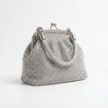 Stile Donna borsa da sera mesh strass argento scintillante donna – vista frontale